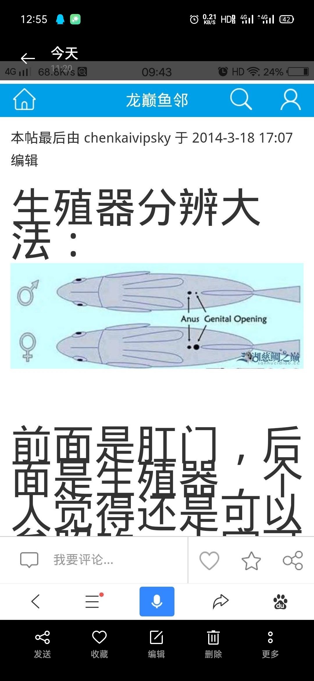 前辈帮忙看看公母吧 观赏鱼论坛 第3张