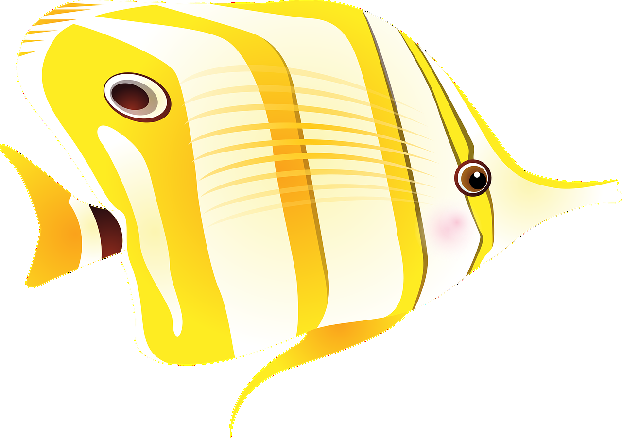 热带鱼繁殖（能繁殖的小型热带鱼）