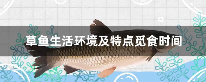 草鱼生活环境及特点觅食时间