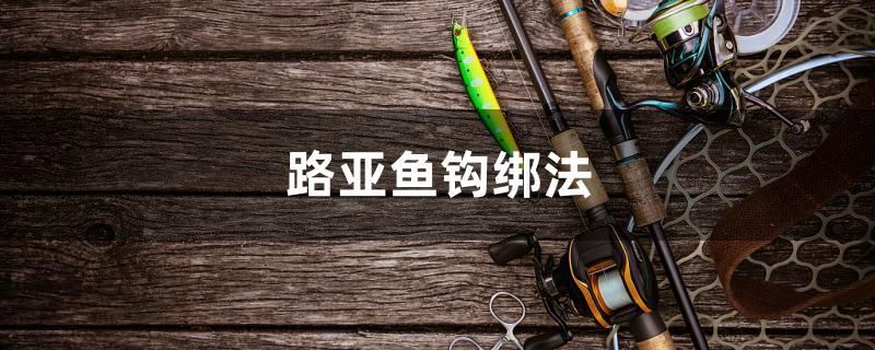 路亚鱼钩绑法 养鱼的好处 第1张