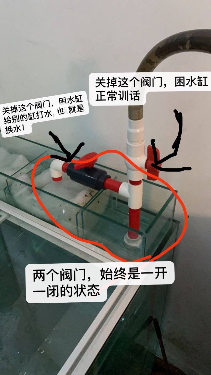 为了困水舒服做了个困水缸 观赏鱼论坛 第4张