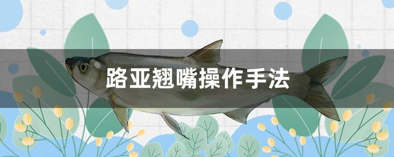 路亚翘嘴操作手法 水族用品