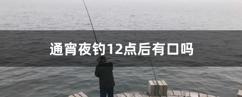 通宵夜钓12点后有口吗 龙凤鲤鱼