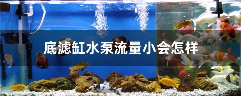 底滤缸水泵流量小会怎样