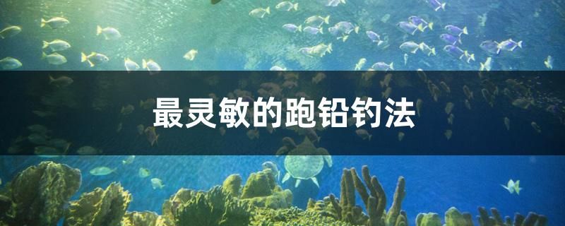 红木鱼缸底柜图片大全集图（红木鱼缸架） 广州观赏鱼批发市场