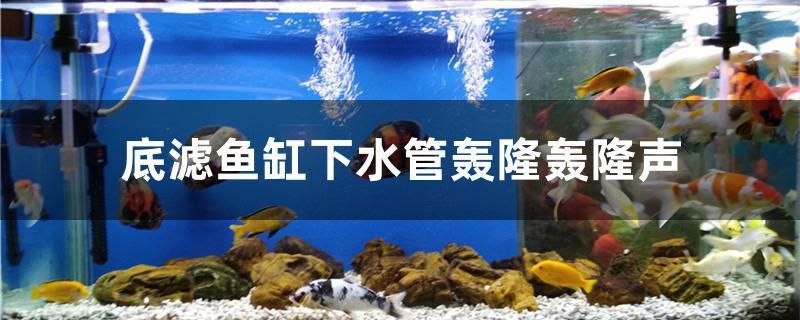 为什么底滤鱼缸下水管轰隆轰隆声