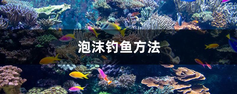 泡沫钓鱼方法 福虎/异型虎鱼/纯色虎鱼