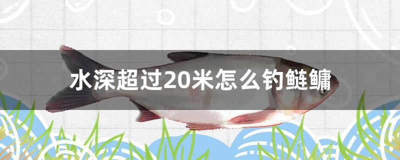 水深超过20米怎么钓鲢鳙