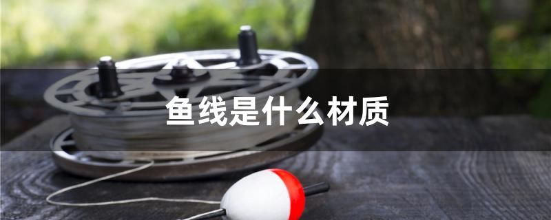 鱼线是什么材质 罗汉鱼批发