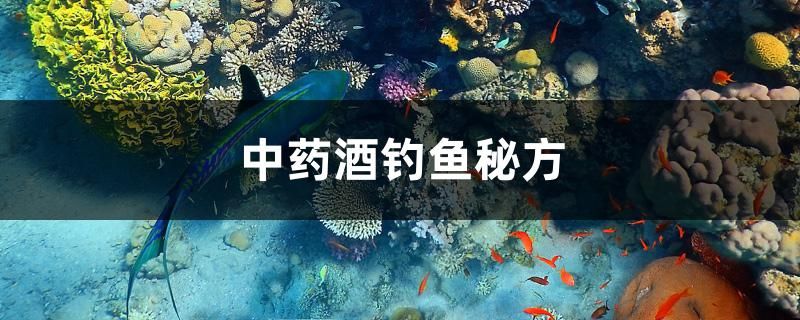 中药酒钓鱼秘方 魟鱼百科