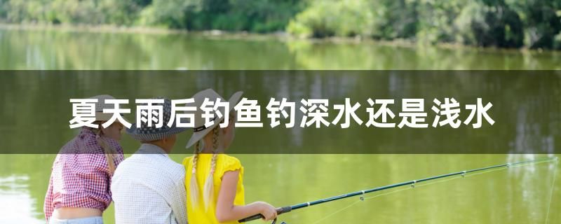 夏天雨后钓鱼钓深水还是浅水