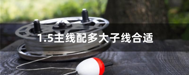 1.5主线配多大子线合适