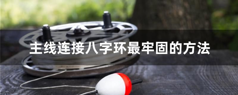 主线连接八字环最牢固的方法 速倍妥鱼粮鱼药