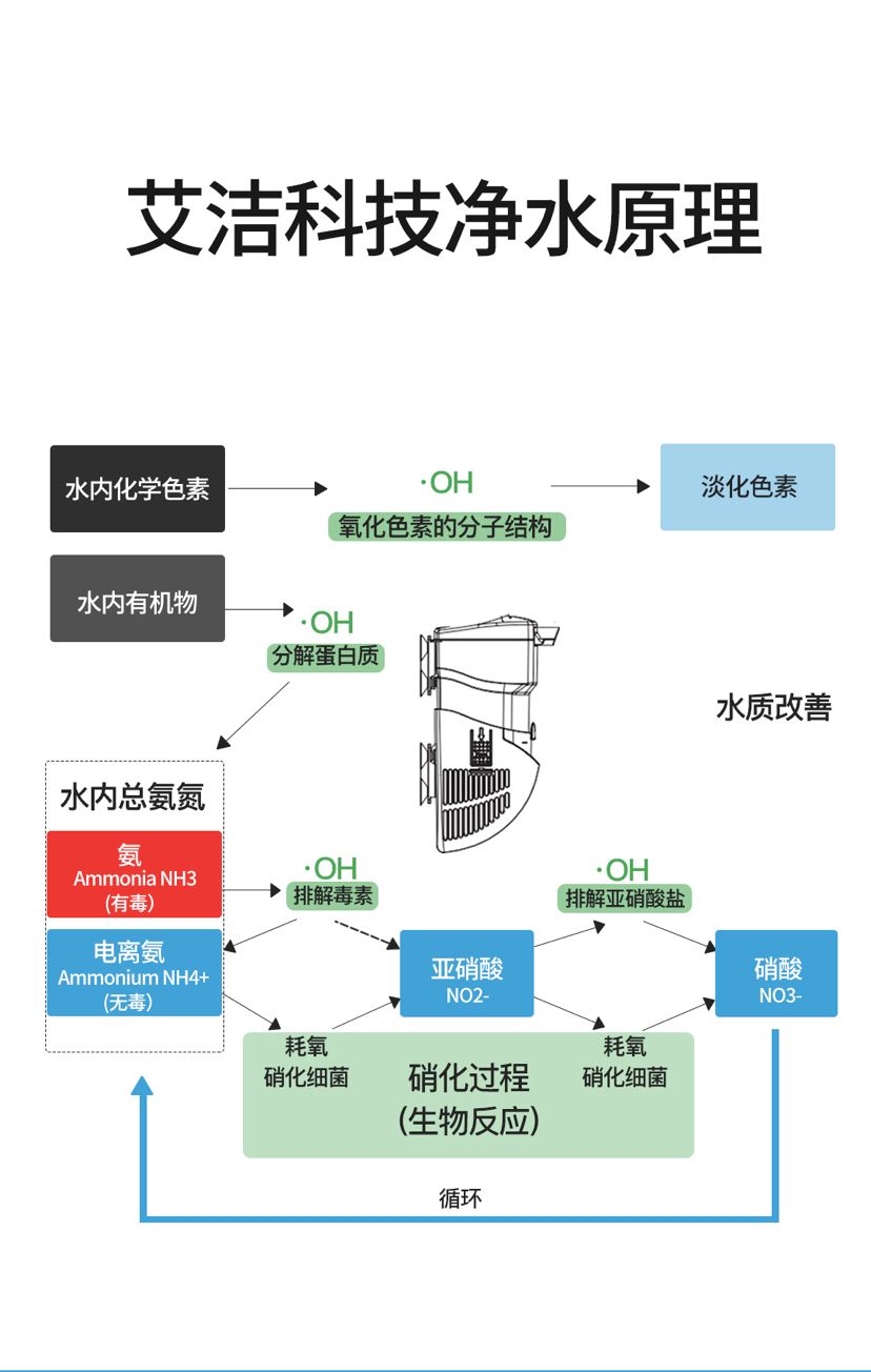 新品上市丨OF淡水艾洁净水器 观赏鱼论坛 第2张