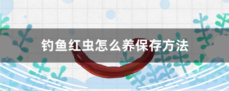 钓鱼红虫怎么养保存方法 祥龙传奇品牌鱼缸