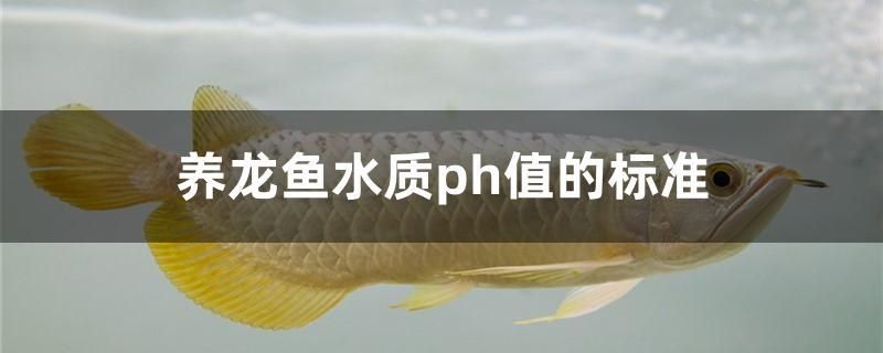 养龙鱼水质ph值的标准