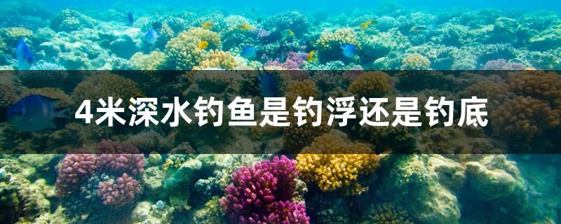 4米深水钓鱼是钓浮还是钓底 鱼缸等水族设备