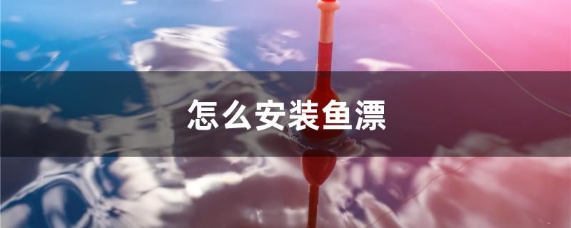 怎么安装鱼漂