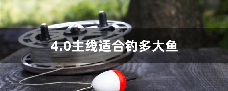 4.0主线适合钓多大鱼 帝王血钻