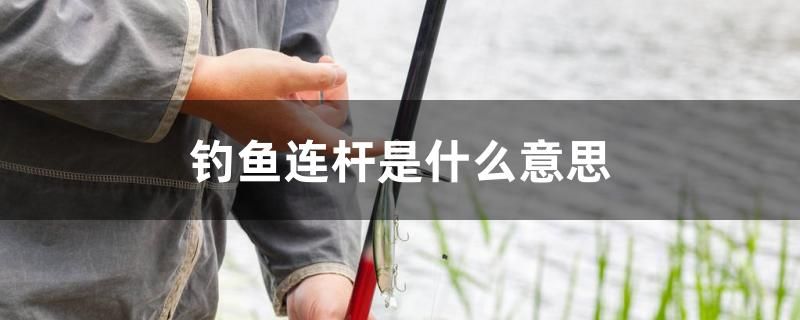 钓鱼连杆是什么意思