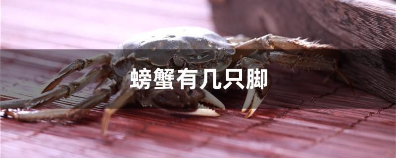 螃蟹有几只脚