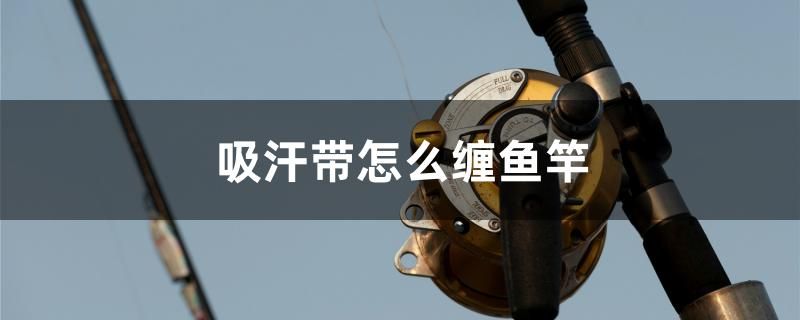 吸汗带怎么缠鱼竿