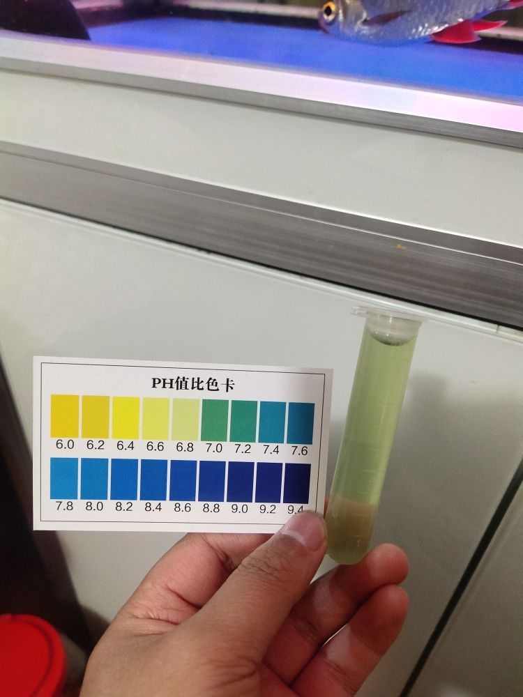 今天再测水质！ 观赏鱼论坛 第1张