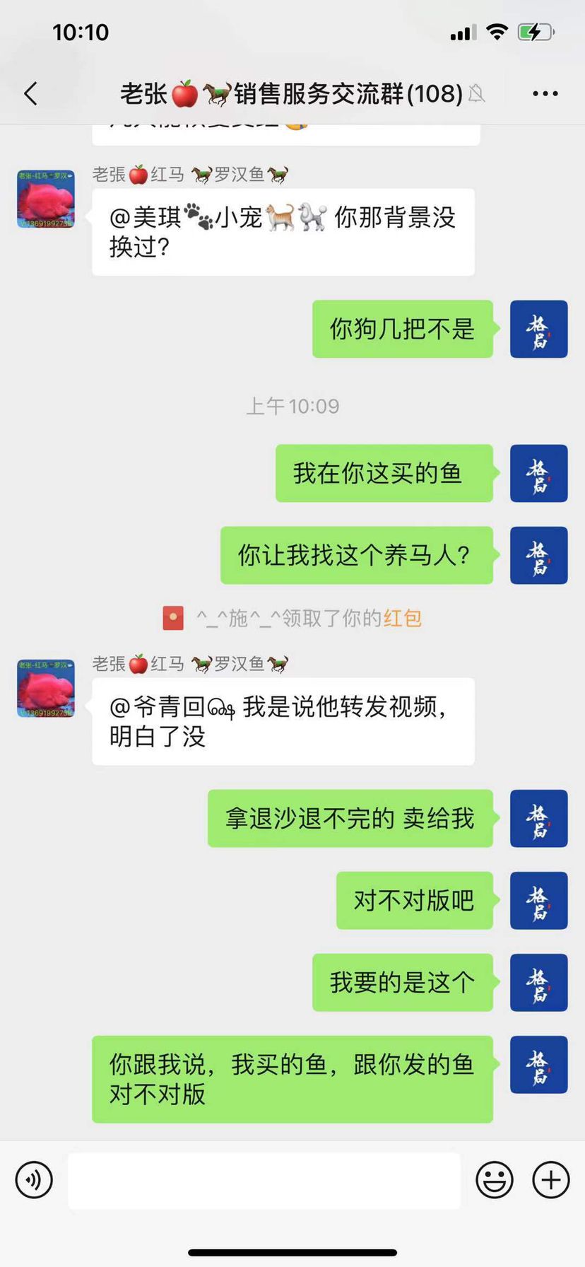 曝光鸿尚～老张红马～养马人这些黑鱼商 观赏鱼论坛 第3张