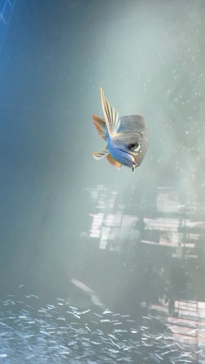 鱼缸换水两天后水浑浊怎么回事（鱼缸全部换水后第二天又混了） 孵化器