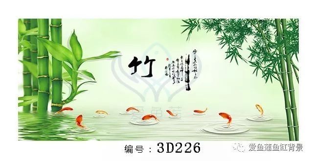 炎热夏天，背景怎能少得了一抹清凉 观赏鱼论坛