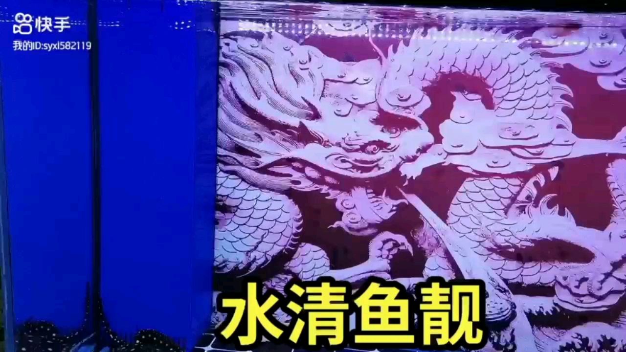 鱼缸的安装方法视频教学大全 鱼缸的安装方法视频教学大全