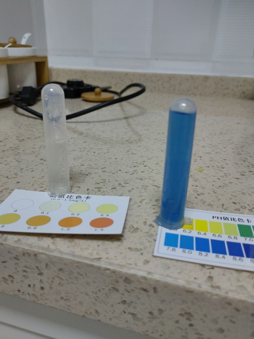 肠炎挂了 喂食正常 一天三顿 少食多餐 昨天发现 今天就挂 速度极快 总结下 怀疑左边出现黑点和白便是征兆 尽快用药也许能挽救 。后续小鱼捞出来高锰酸钾泡会儿 鱼缸杀菌水处理 刮掉藻 明天洗棉 观赏鱼论坛 第6张