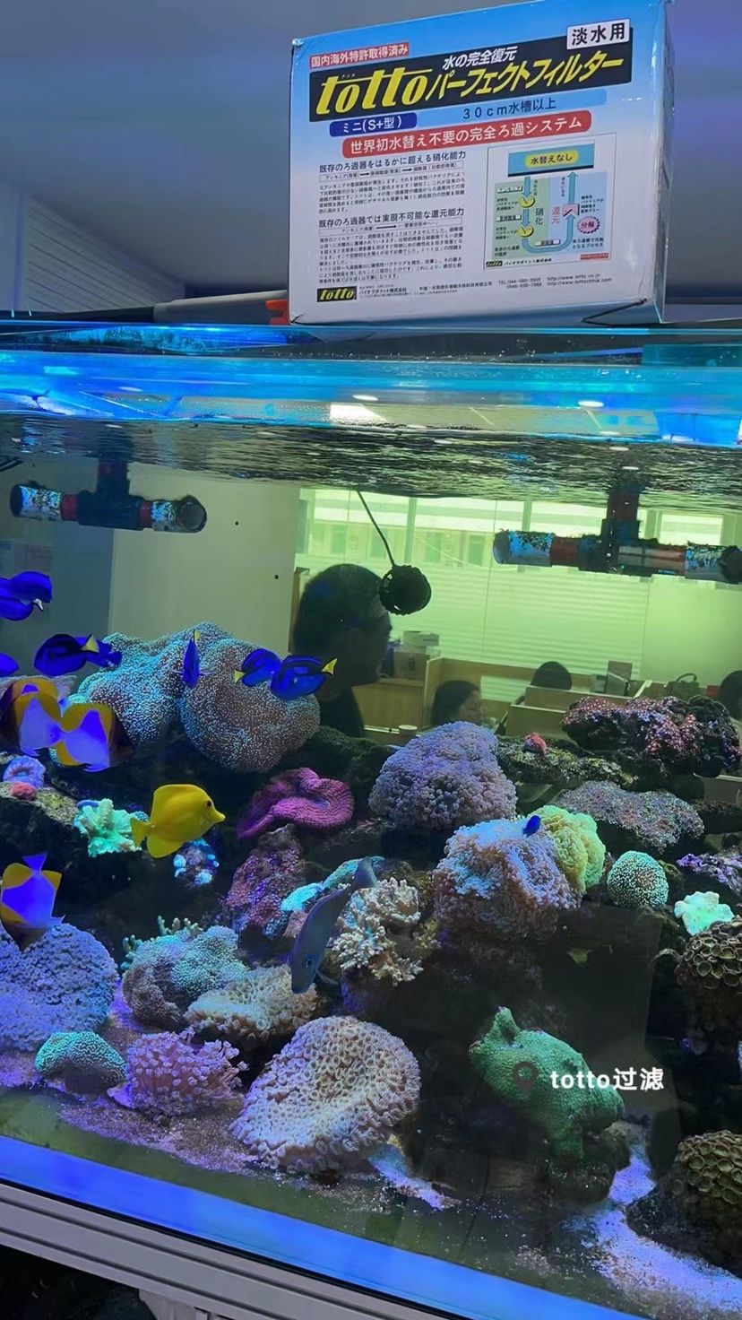 张家界鱼缸维修店地址查询 水族问答 第3张