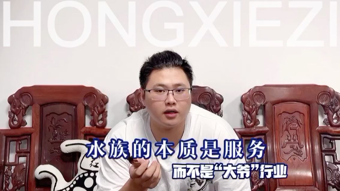 不要被片刻的顺利冲昏了头脑膨胀了自己，因为水族的本质就是服务#红蝎子纯血皇冠魟鱼#魟鱼#水族#观赏鱼