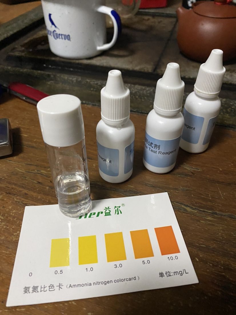 水质理想，从今天开始尝试只加水不换水 观赏鱼论坛 第3张