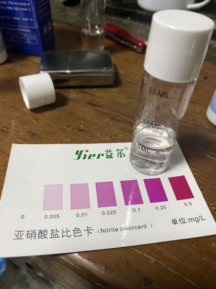 水质理想，从今天开始尝试只加水不换水 观赏鱼论坛 第2张