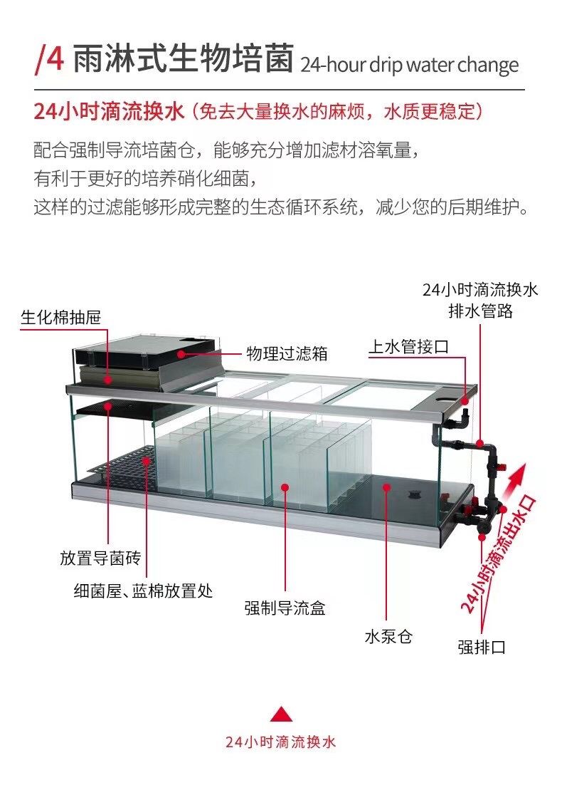 彩蝶人气明星鱼缸 观赏鱼论坛 第5张