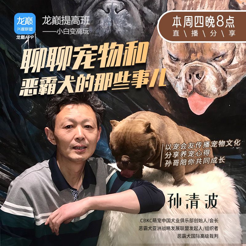 孙哥陪你聊聊宠物和恶霸犬的那些事儿 观赏鱼论坛 第1张