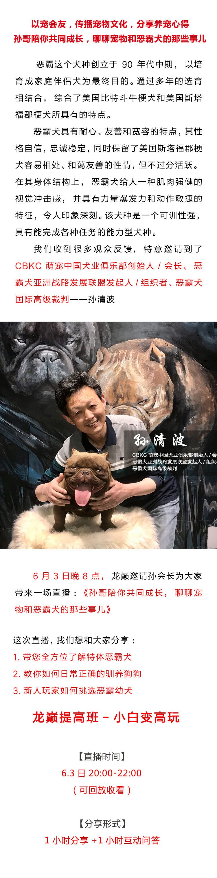 孙哥陪你聊聊宠物和恶霸犬的那些事儿 观赏鱼论坛 第2张