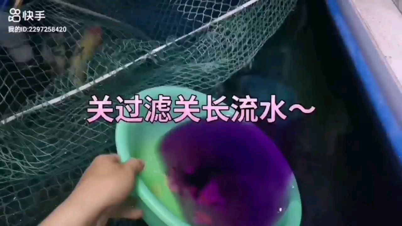 哪里可以买到二手鱼缸 水族问答