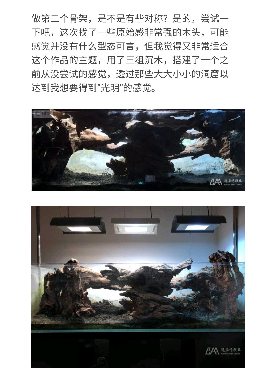 黑暗与光明 观赏鱼论坛 第3张