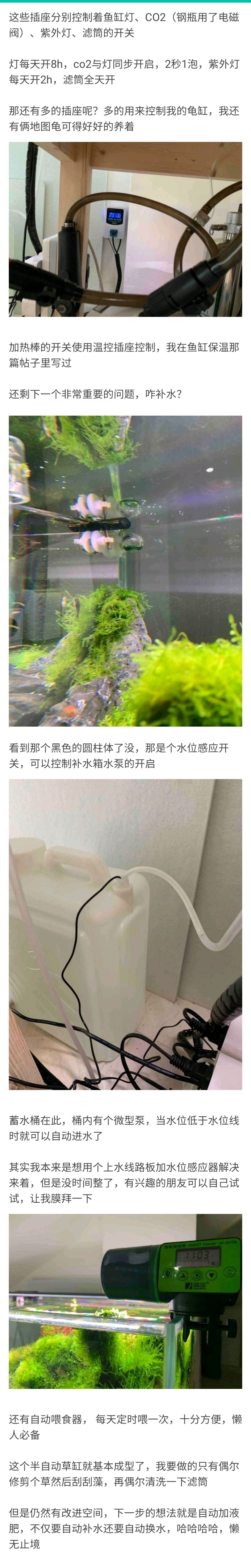 这么漂亮的景原来靠的是黑科技 观赏鱼论坛 第2张