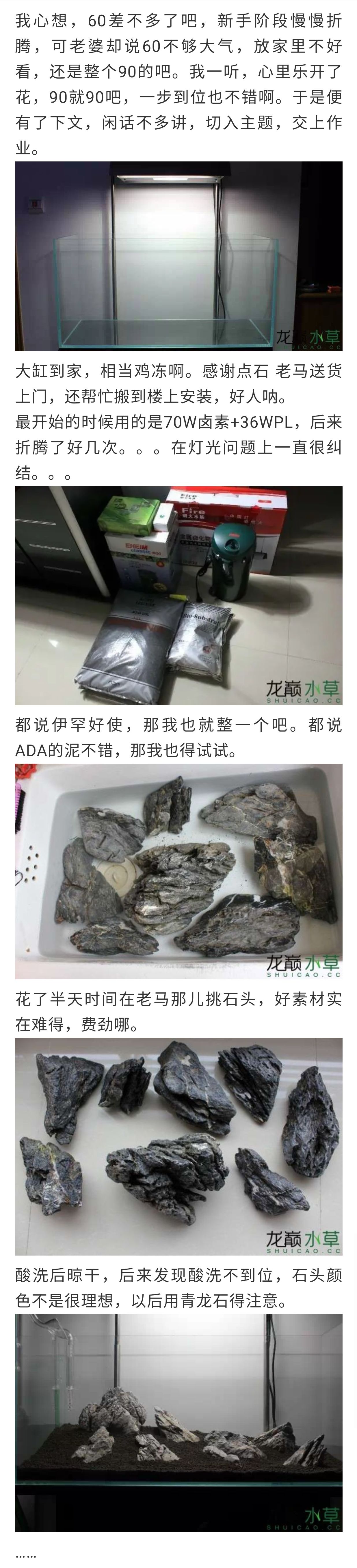 玩家小缸案例，开缸教程分享 观赏鱼论坛