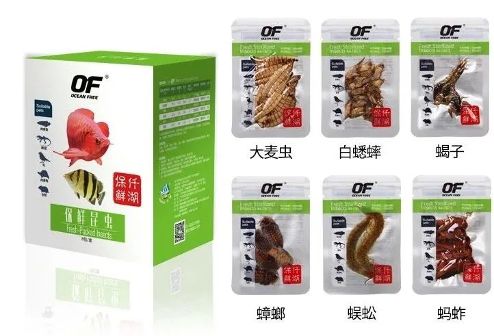 保鲜昆虫or龙鱼饲料，怎么选？ 观赏鱼论坛 第2张