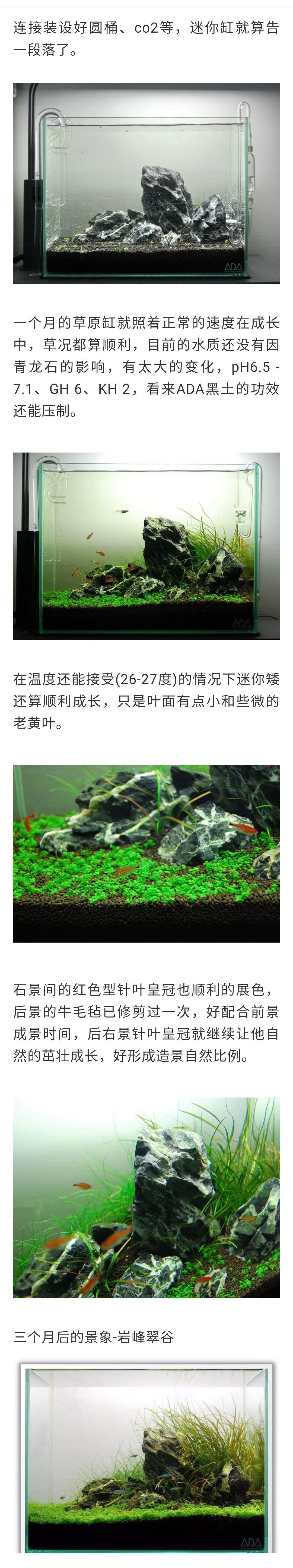 三角形草原风格水草造景全过程详解 观赏鱼论坛 第2张