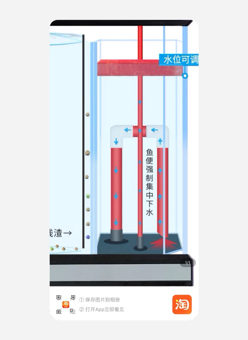 四角溢流积便问道 观赏鱼论坛