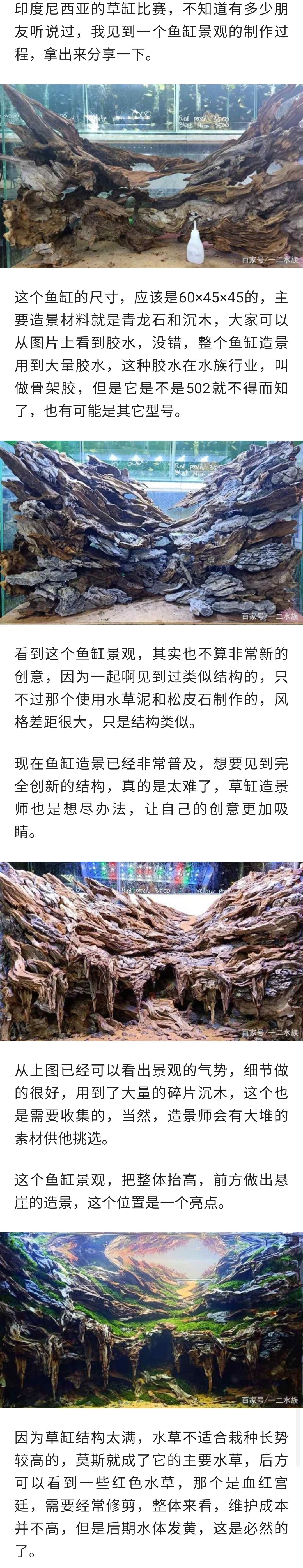 草缸造景，要的就是创意 观赏鱼论坛