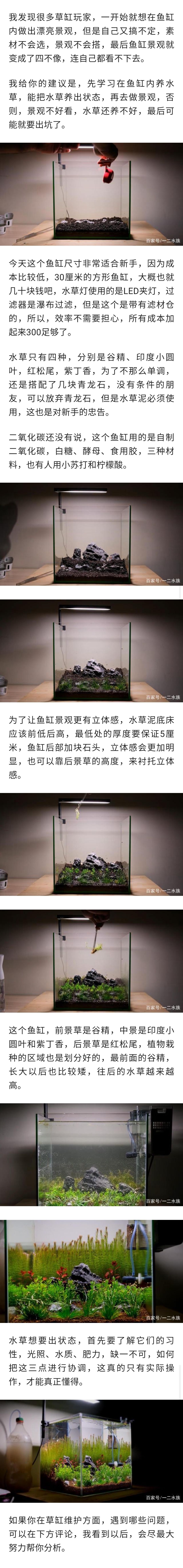 30厘米鱼缸造景 观赏鱼论坛