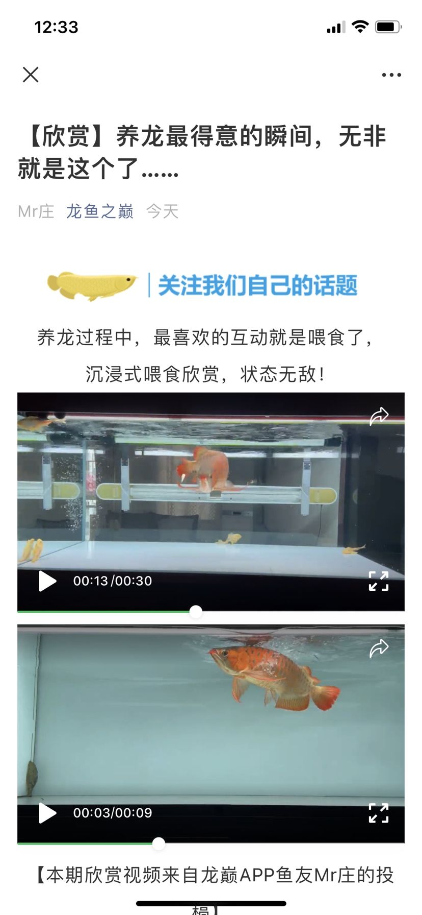 感谢龙巅小助手分享我的爱龙