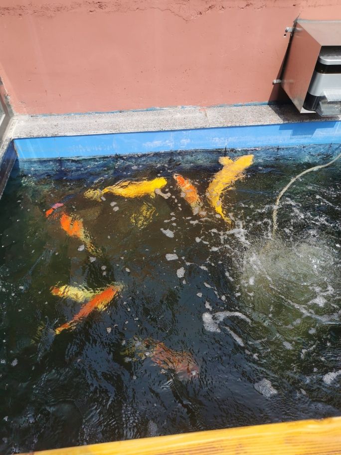 南关区疯狂水草水族店 全国水族馆企业名录